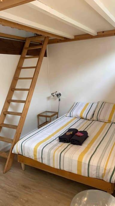 Le Saint-Lazare Appartement Au Calme Intra Muros Avignon Buitenkant foto