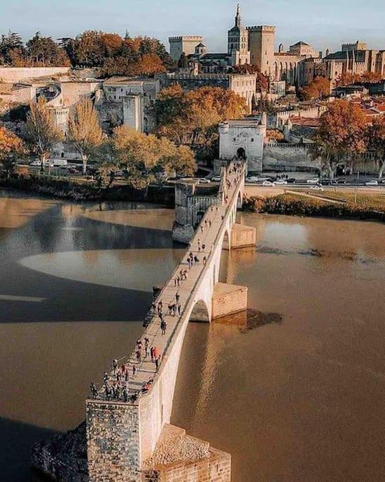 Le Saint-Lazare Appartement Au Calme Intra Muros Avignon Buitenkant foto